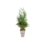 loft urban rond haut 35cm gris chaud